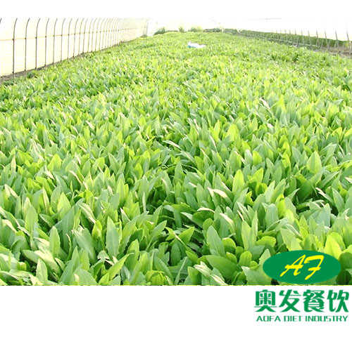 武漢蔬菜配送時要注意什么？